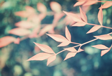 英國(guó)修訂玩具法規(guī)